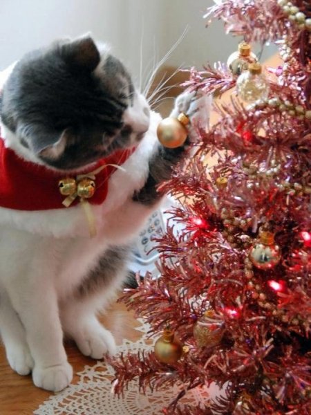 8db7b443c551aa000e113b96a704e242