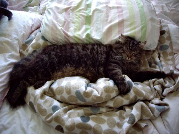 Unmade_bed_by_MoonDolly5