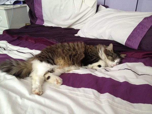 bed__i_called_it__by_chloerhiannonx-d4uqhsk