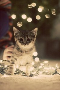 ce9af0625596efb2e5cffcd71943e6a6