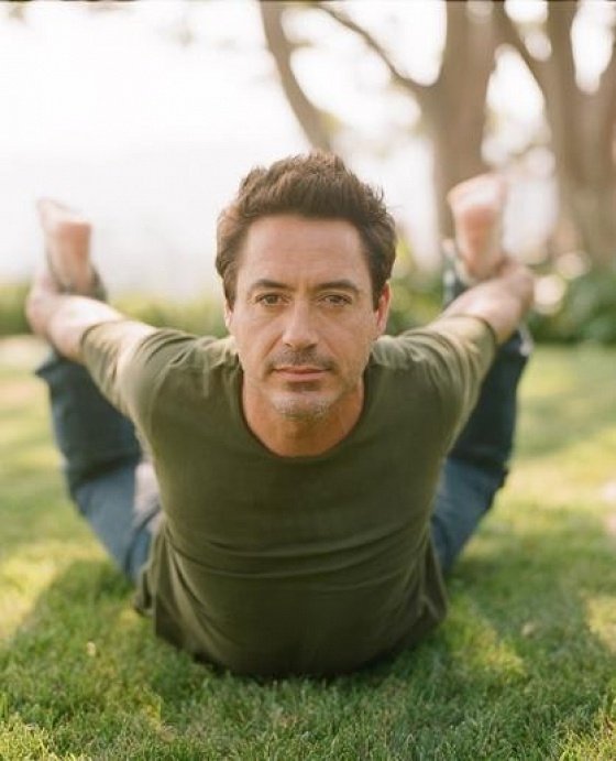 robert downey jr